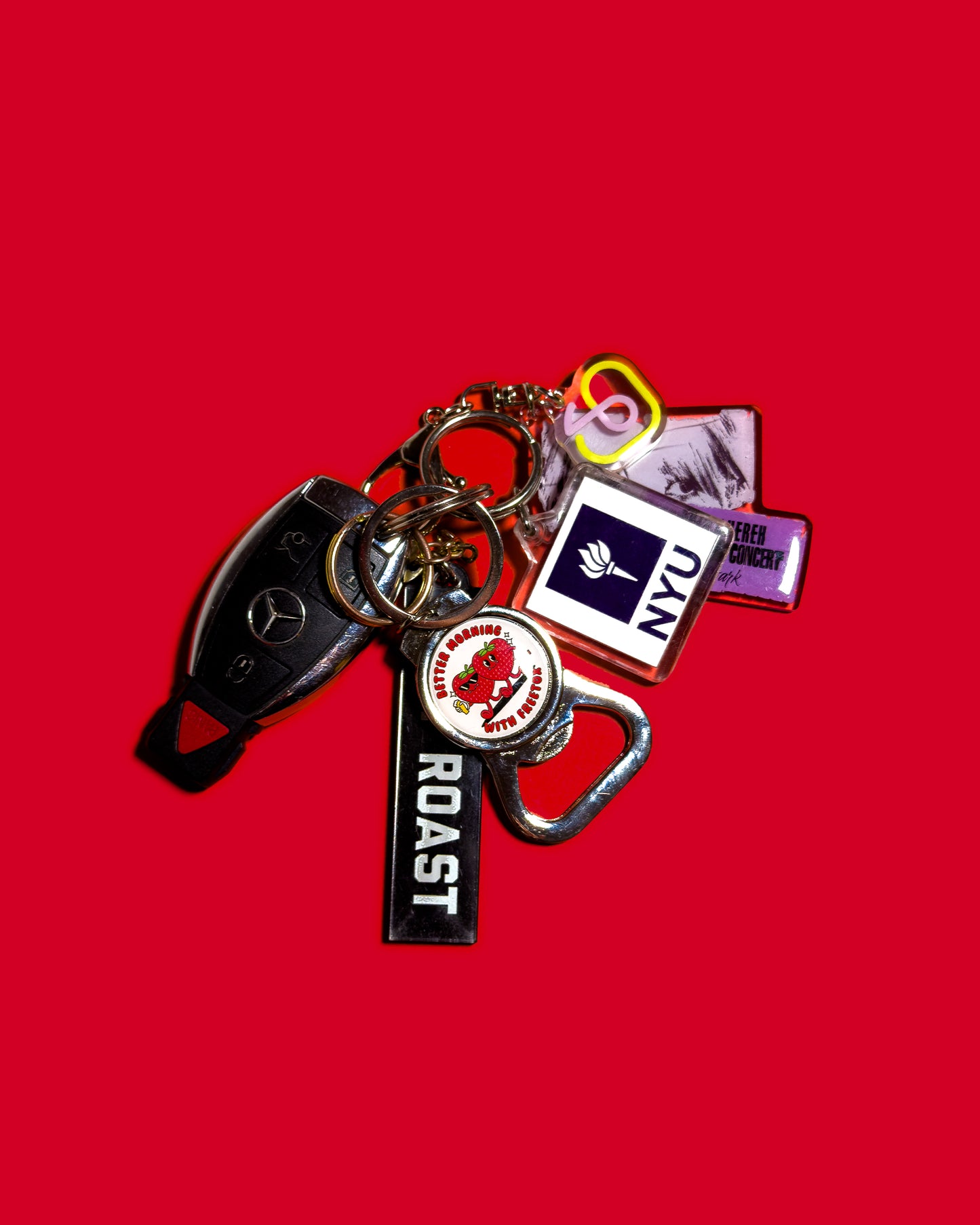 Bottle Opener Key Chain